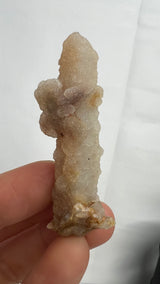 96 piece Witch Finger Wholesale flat from Boekenhouthoek, South Africa