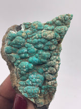 20 Piece Flat of Vibrant Chrysocolla with Malachite & Brochantite, from Usakos, Erongo Region, Namibia
