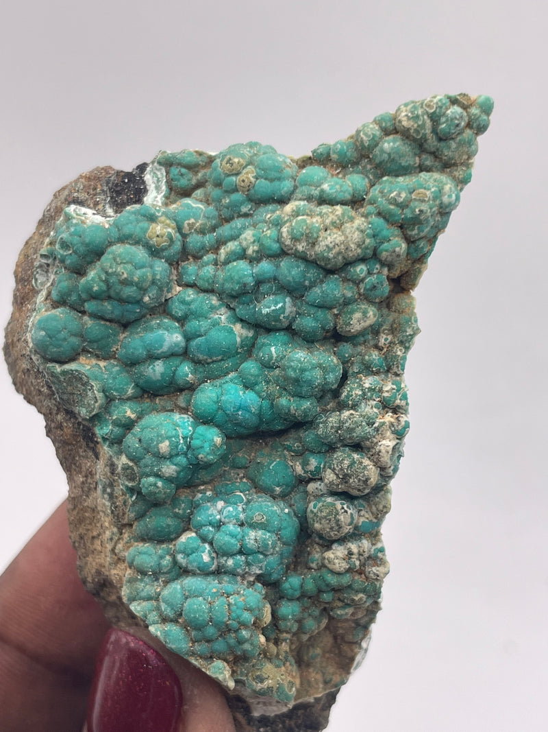 20 Piece Flat of Vibrant Chrysocolla with Malachite & Brochantite, from Usakos, Erongo Region, Namibia
