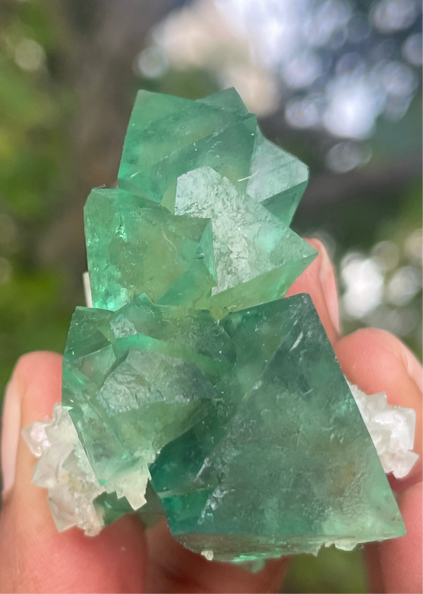 Orange River Fluorite from Riemvasmaak South Africa