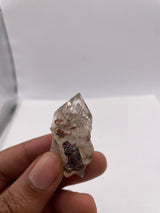 melcavis1