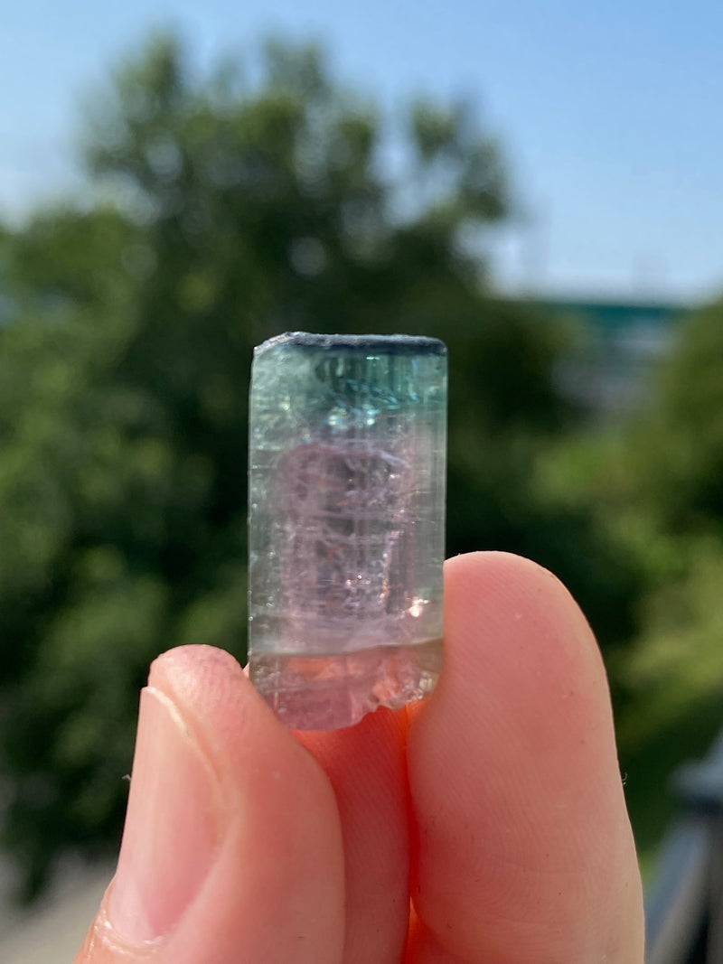 Watermelon Tourmaline from Taquaral, Minas Gerais, Brazil