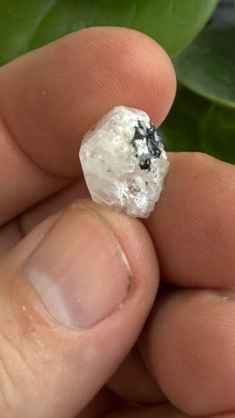 Gemmy Nigerian Phenakite Crystal with black tourmaline  from Okuta-Didan Mine, Jos Plateau, Nigeria