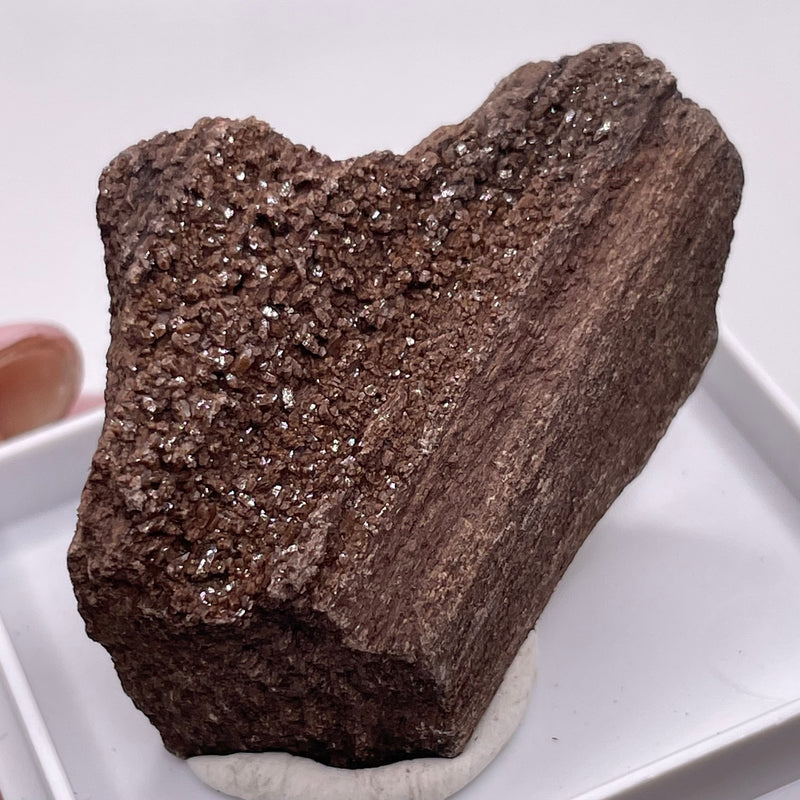 Fossil Wood - Quartz on Petrified Wood 35 Million years old, Saxony, Germany