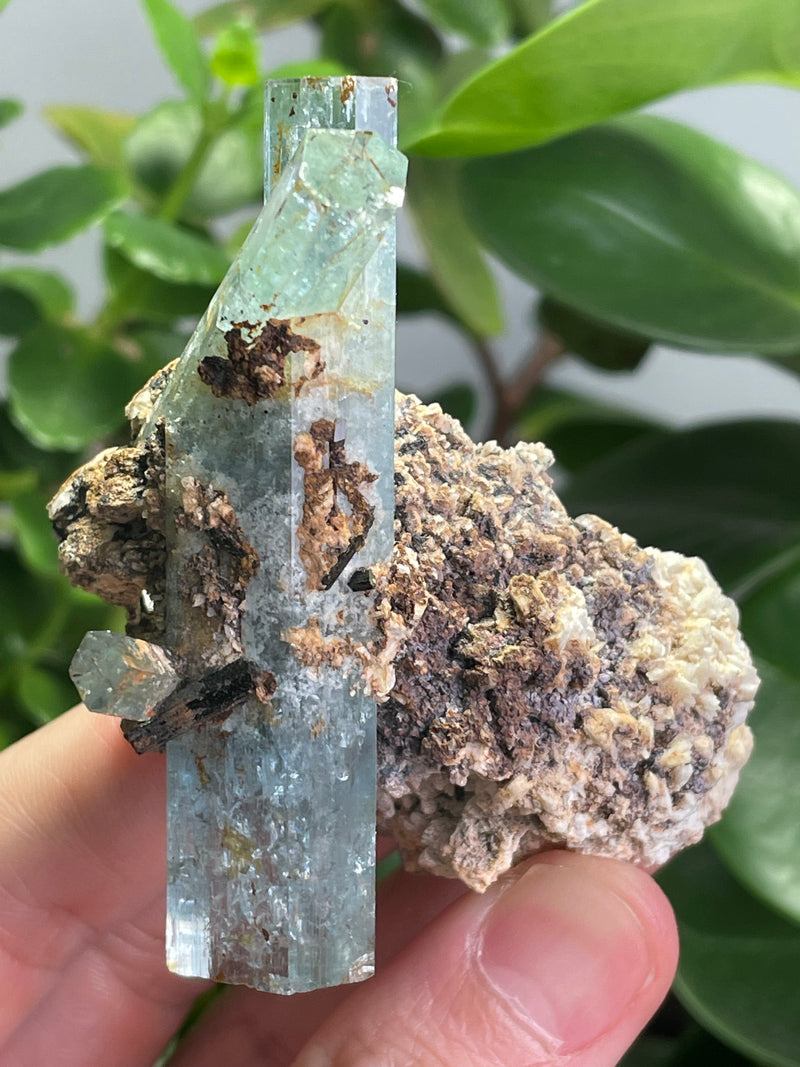 Aquamarine Specimen Cluster on Feldspar from Erongo Mountain, Erongo Region, Namibia