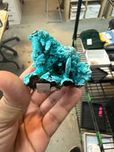@Starshine Crystals TT August 29th