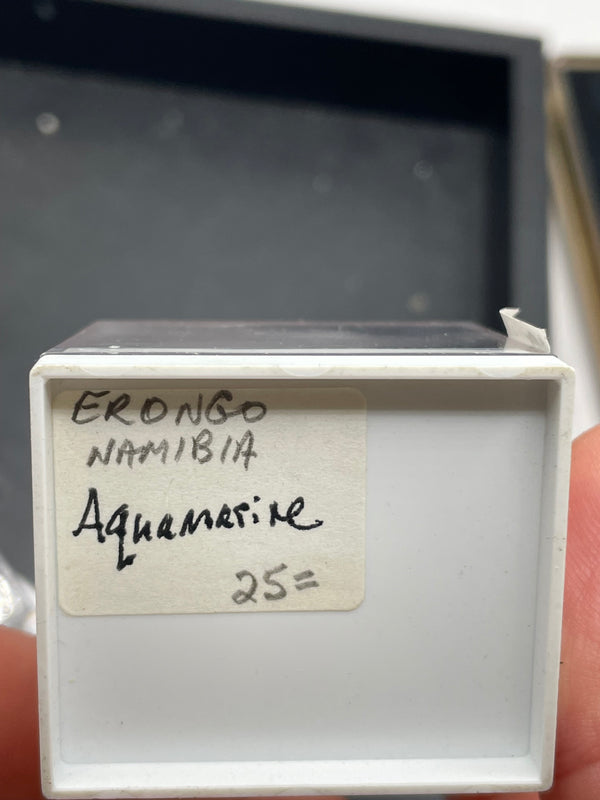 @cretaceousartifacts (mohlsen81)