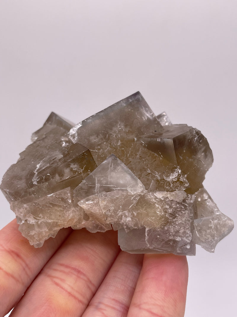 UK Fluorite double sided from the Harvest Pocket, Lady Anabella Mine, England