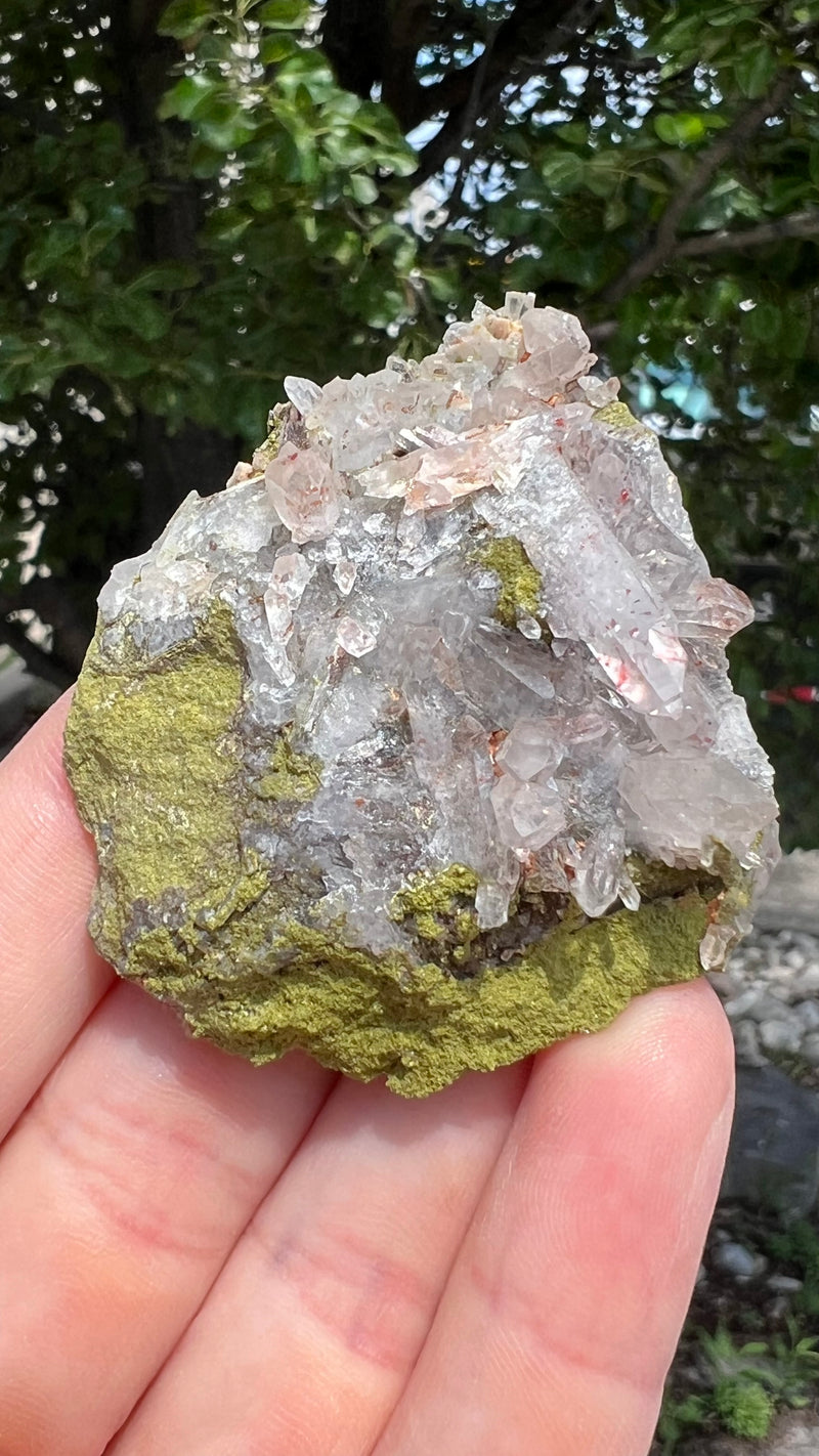 Harledote Brandberg Quartz flat 24 pieces from Goboboseb Mountains, Erongo Region, Namibia