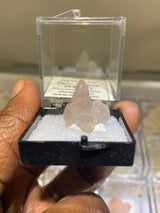 Open Japan Law Twin Quartz Perky from Madagascar
