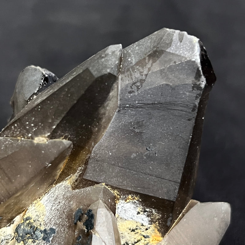 Self-Standing Smoky Quartz Crystal from Erongo Mountain, Erongo Region, Namibia