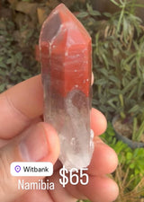 @Millbrook Barbet IG (Crystal not at warehouse yet)