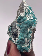 20 Piece Flat of Vibrant Chrysocolla with Malachite & Brochantite, from Usakos, Erongo Region, Namibia