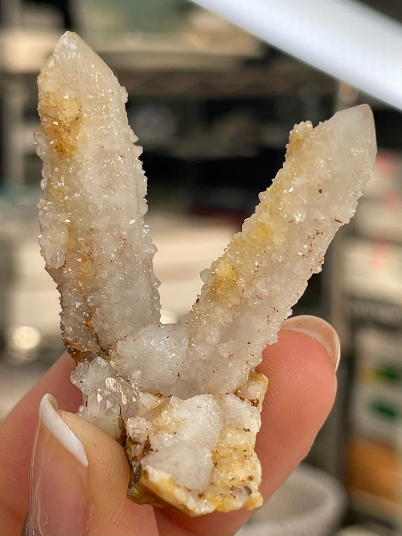 1 piece of Witch’s Finger Quartz from Boukenhoethoek, South Africa