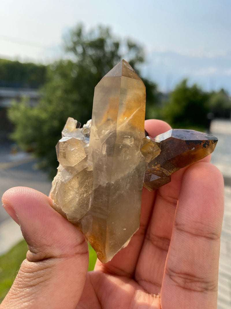 Smoky Quartz with Black Tourmaline from Erongo mountain, Erongo region, Namibia