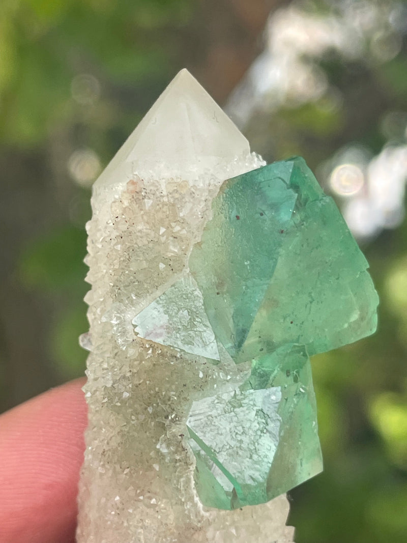 Orange River Fluorite from Riemvasmaak South Africa