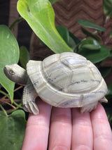 Shona Sculpture, Butter Jade Turtle from Zimbabwe