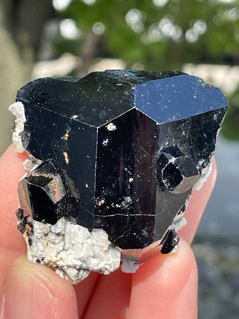 Black Tourmaline Flat 24 pieces from Namibia