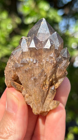 Kundalini Citrine Wholesale Flat 24 pieces from Democratic Republic of Congo