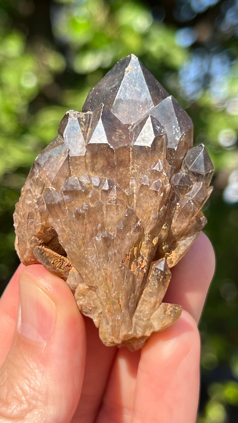 Kundalini Citrine Wholesale Flat 24 pieces from Democratic Republic of Congo