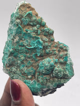 20 Piece Flat of Vibrant Chrysocolla with Malachite & Brochantite, from Usakos, Erongo Region, Namibia