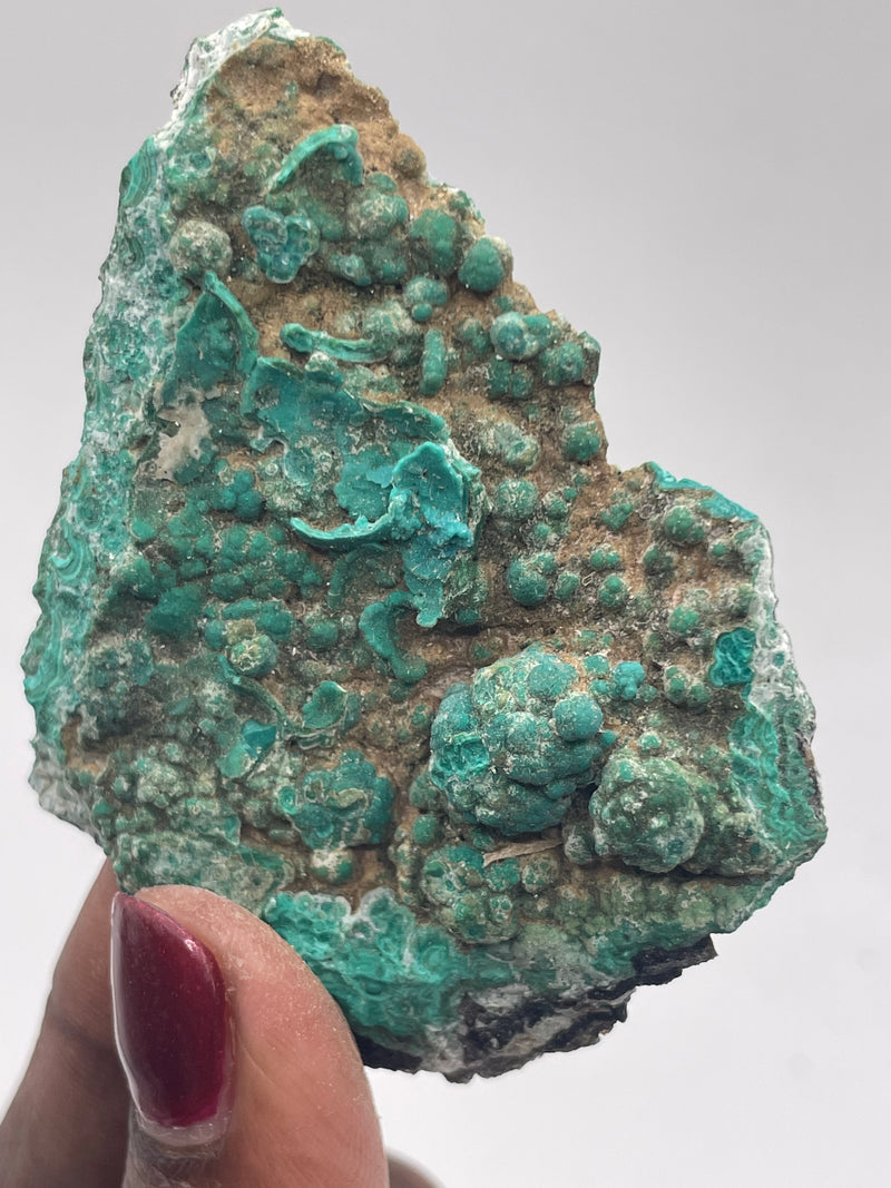 20 Piece Flat of Vibrant Chrysocolla with Malachite & Brochantite, from Usakos, Erongo Region, Namibia