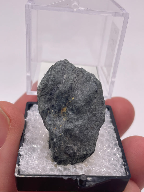 @mohlsen - Cretaceous Artifacts