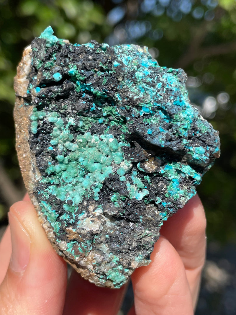 Malachite and Chrysocolla Flat 25 pieces from Usakos, Erongo Region, Namibia