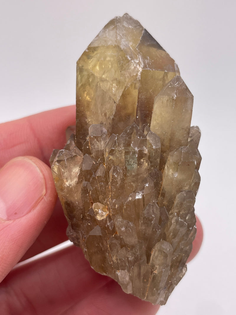 Kundalini Citrine Wholesale Flat 24 pieces from Democratic Republic of Congo