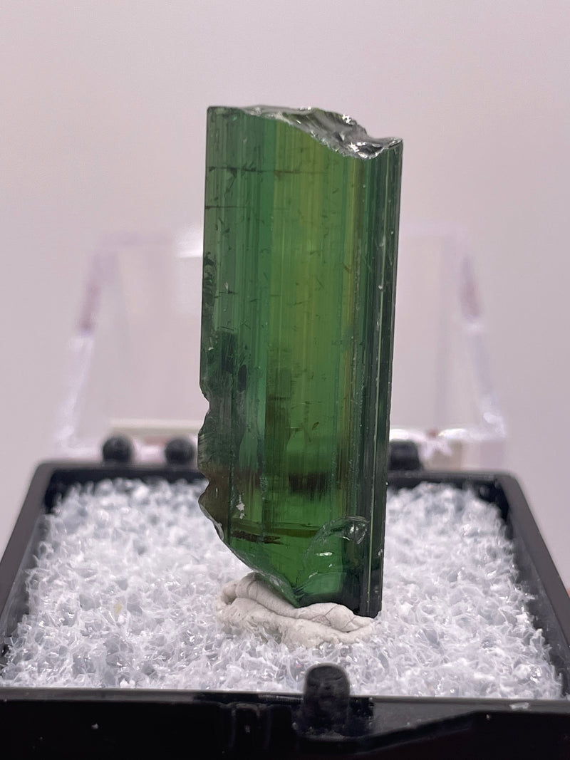 Tourmaline from Neuschwaben, Karibib, Erongo Region, Namibia
