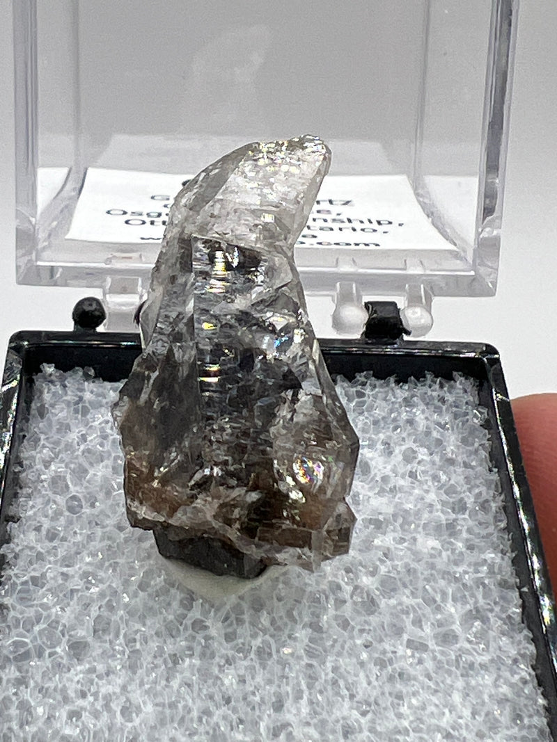 Greely Quartz from the Greely Quartz Occurrence, Osgoode Township, Ottawa, Ontario, Canada