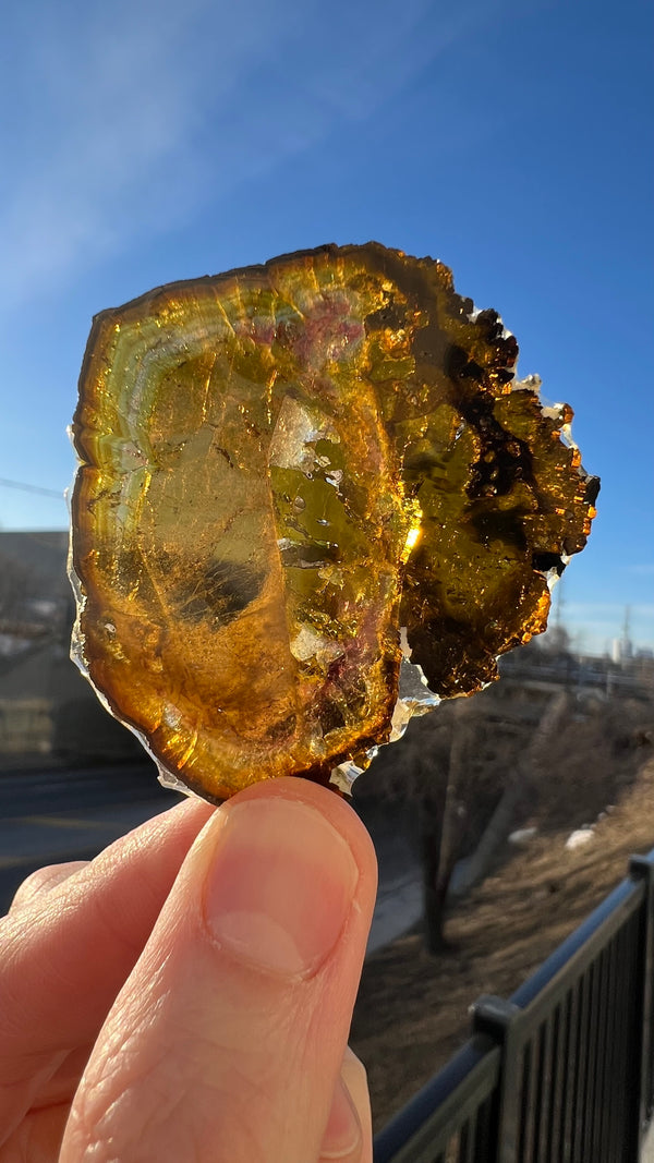 Yellow Liddicoatite Tourmaline from Antsirabe, Madagascar