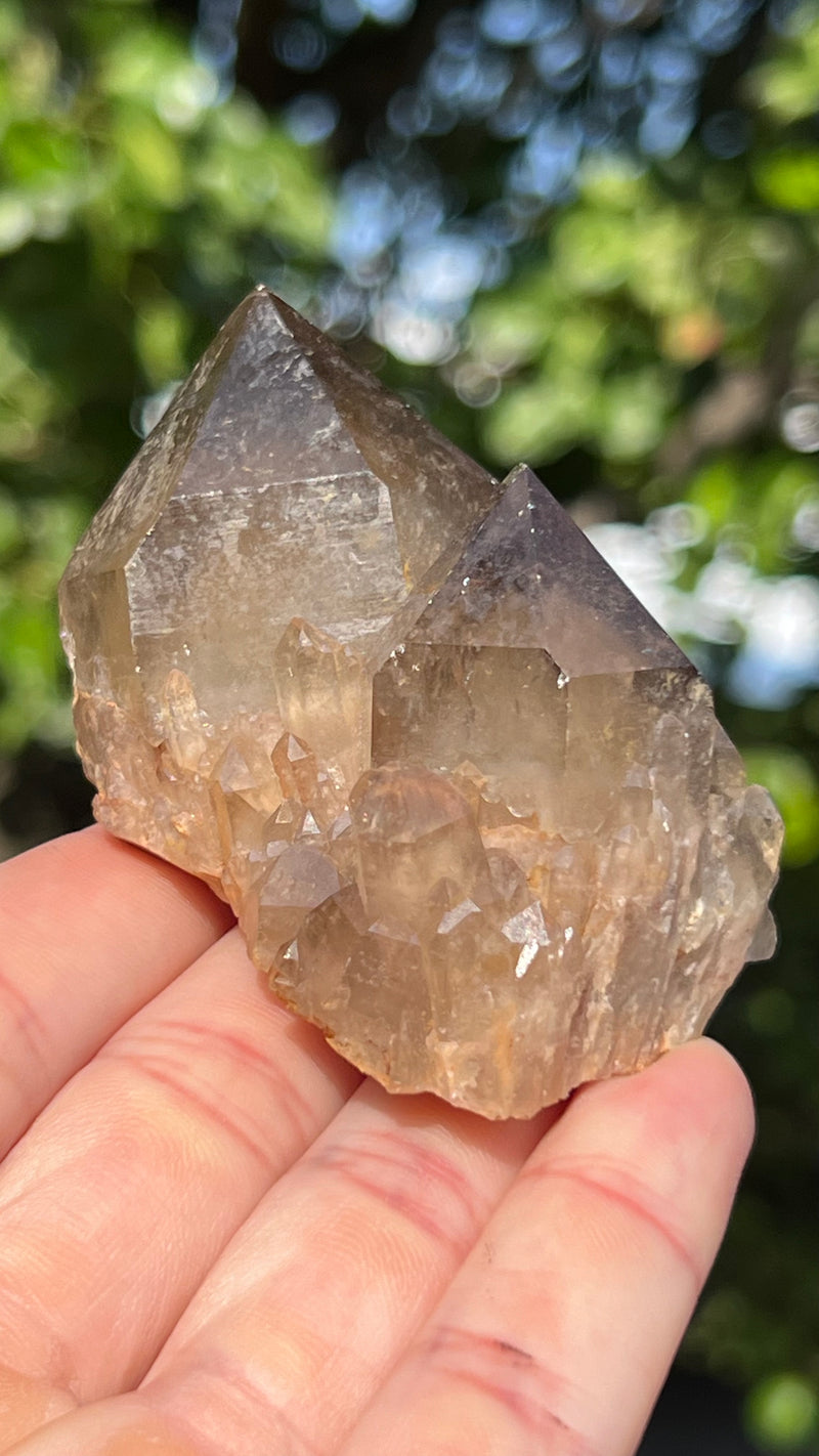 Kundalini Citrine Wholesale Flat 12 pieces from Democratic Republic of Congo