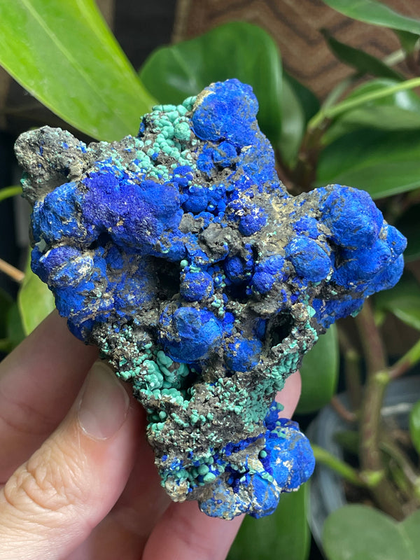 Azurite and Malachite from Bisbee, Warren District, Mule Mountains, Cochise County, Arizona, USA