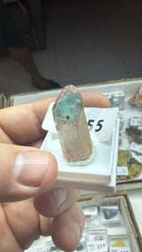 @worldofrockhounds (World of Rockhounds) TT