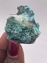 20 Piece Flat of Vibrant Chrysocolla with Malachite & Brochantite, from Usakos, Erongo Region, Namibia