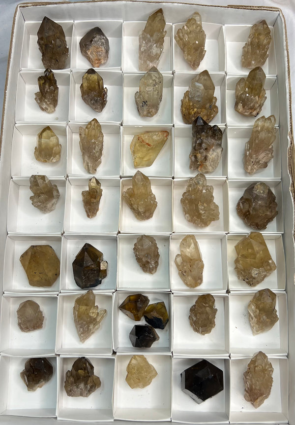 Wholesale flat Kundalini Citrine Quartz, 37 pieces - Quality Raw Crystals from Democratic Republic of Congo (1.504kg)