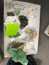 @mangomania2024 Tucson 2025 Mineral City
