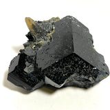 Black Tourmaline Crystal with Smoky Quartz from Erongo Mountain, Erongo Region, Namibia