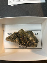 @091.dana