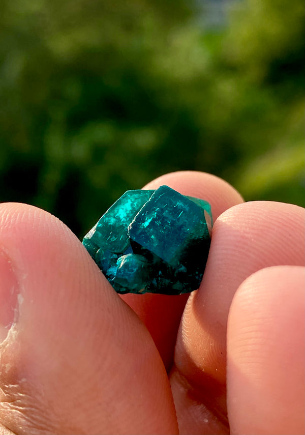 Dioptase 4g from Kaokoveld, Kunene, Namibia