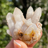 1 piece of Witch’s Finger Quartz from Boukenhoethoek, South Africa