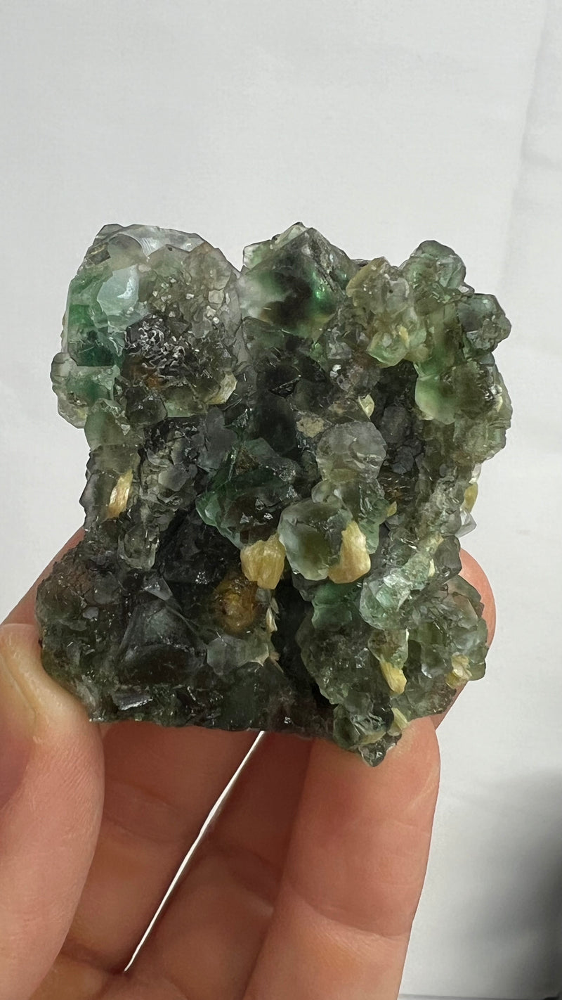 Fluorite and Muscovite Wholesale Flat from the the Erongo Mountain, Erongo Region, Namibia