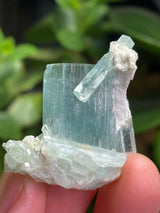 Aquamarine Specimen Cluster with Feldspar from Erongo Mountain, Erongo Region, Namibia