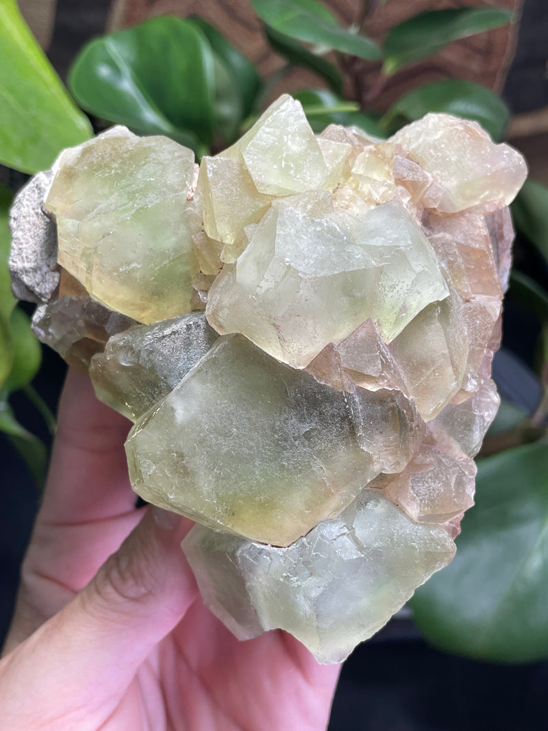 Fluorite from Rogers Mine, Huntingdon Township, Hastings County, Ontario, Canada