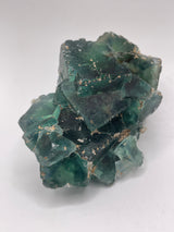 vineyardgay3