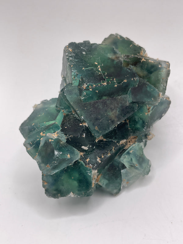 vineyardgay3