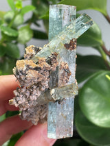 Aquamarine Specimen Cluster on Feldspar from Erongo Mountain, Erongo Region, Namibia