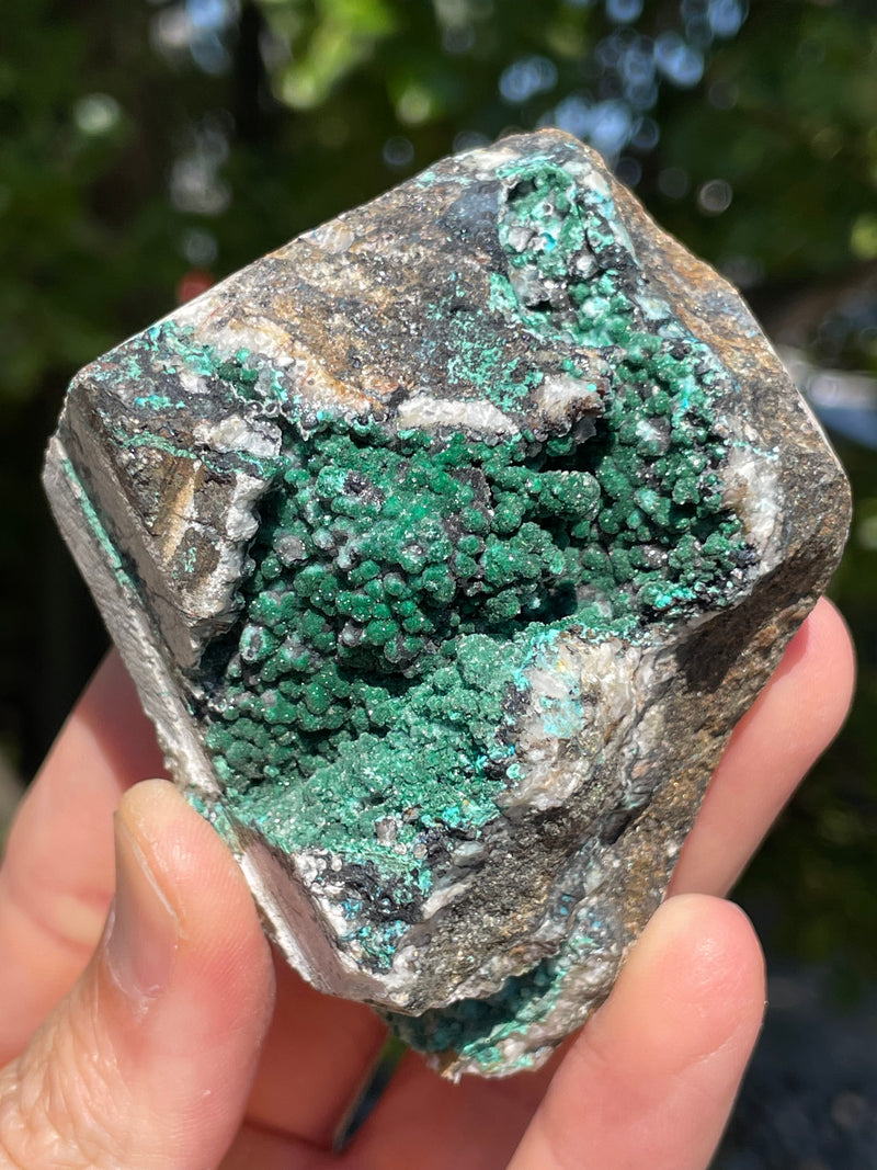 Malachite and Chrysocolla Flat 12 pieces from Usakos, Erongo Region, Namibia
