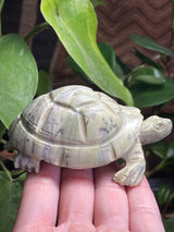 Shona Sculpture, Butter Jade Turtle from Zimbabwe